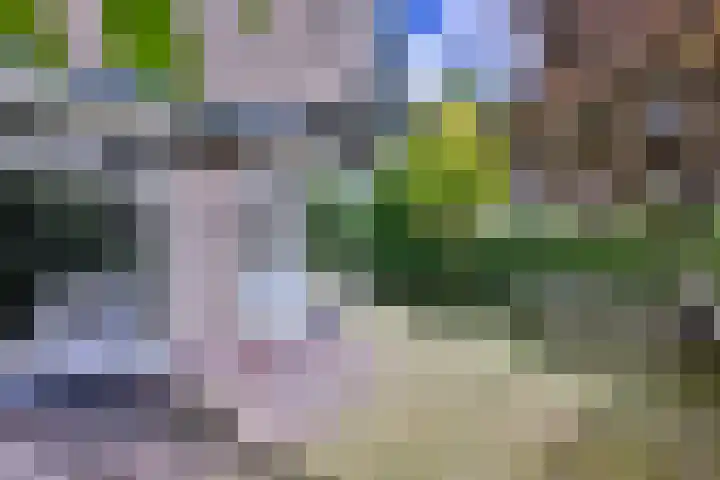 Meidoornlaan 28 Brummen thumbnail 38