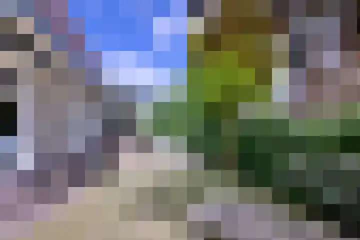 Meidoornlaan 28 Brummen thumbnail 39