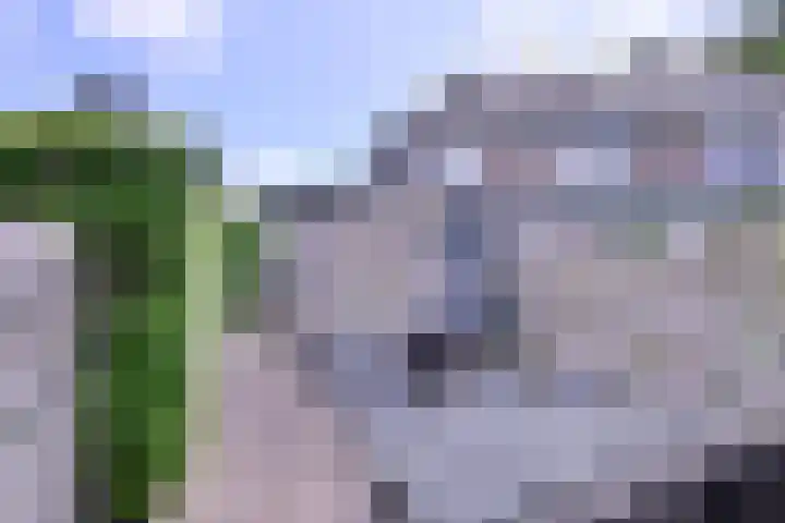 Meidoornlaan 28 Brummen thumbnail 41