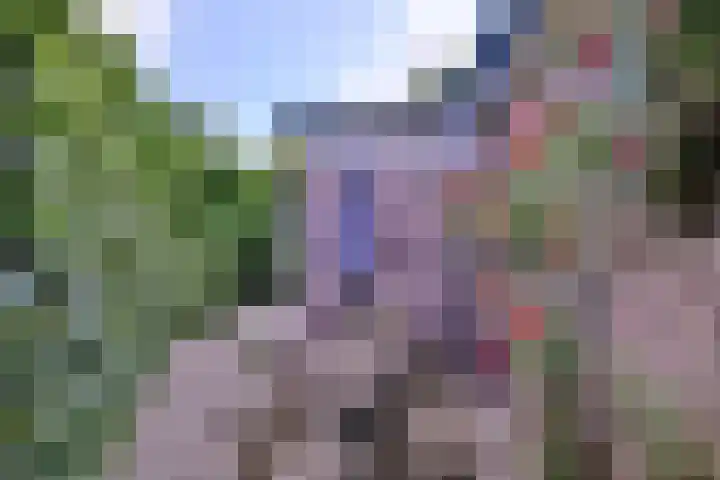 Meidoornlaan 28 Brummen thumbnail 42