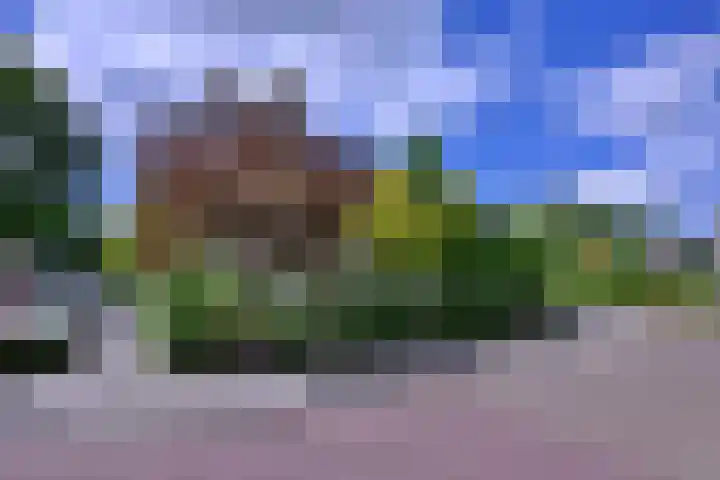 Meidoornlaan 28 Brummen thumbnail 44
