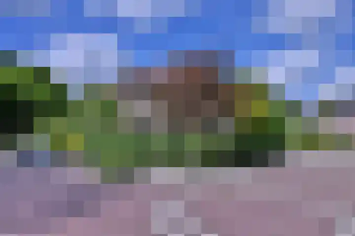 Meidoornlaan 28 Brummen thumbnail 45