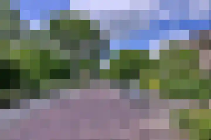 Meidoornlaan 28 Brummen thumbnail 46