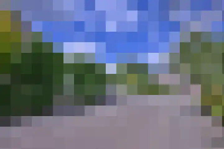 Meidoornlaan 28 Brummen thumbnail 48