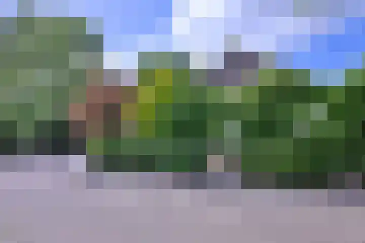 Meidoornlaan 28 Brummen thumbnail 49