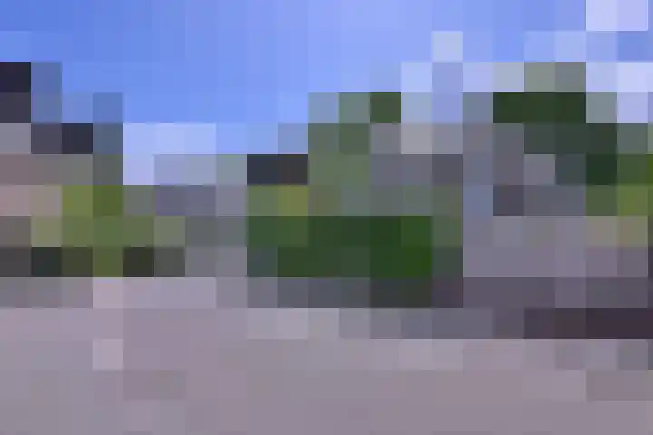 Meidoornlaan 28 Brummen thumbnail 50