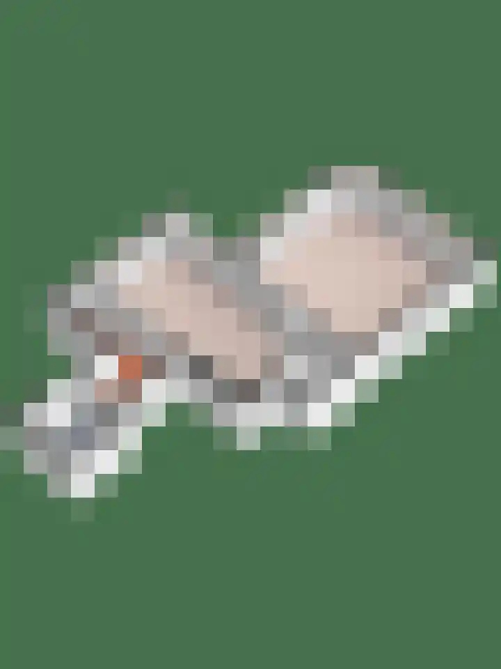 Meidoornlaan 28 Brummen thumbnail 56