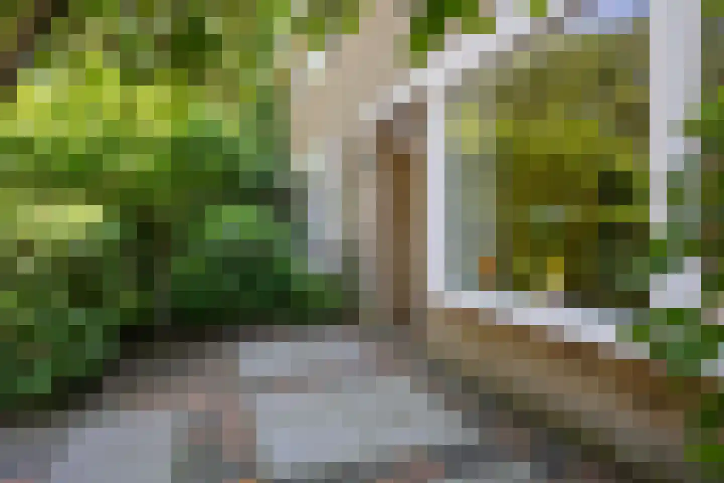Meidoornlaan 29 Glimmen thumbnail 11