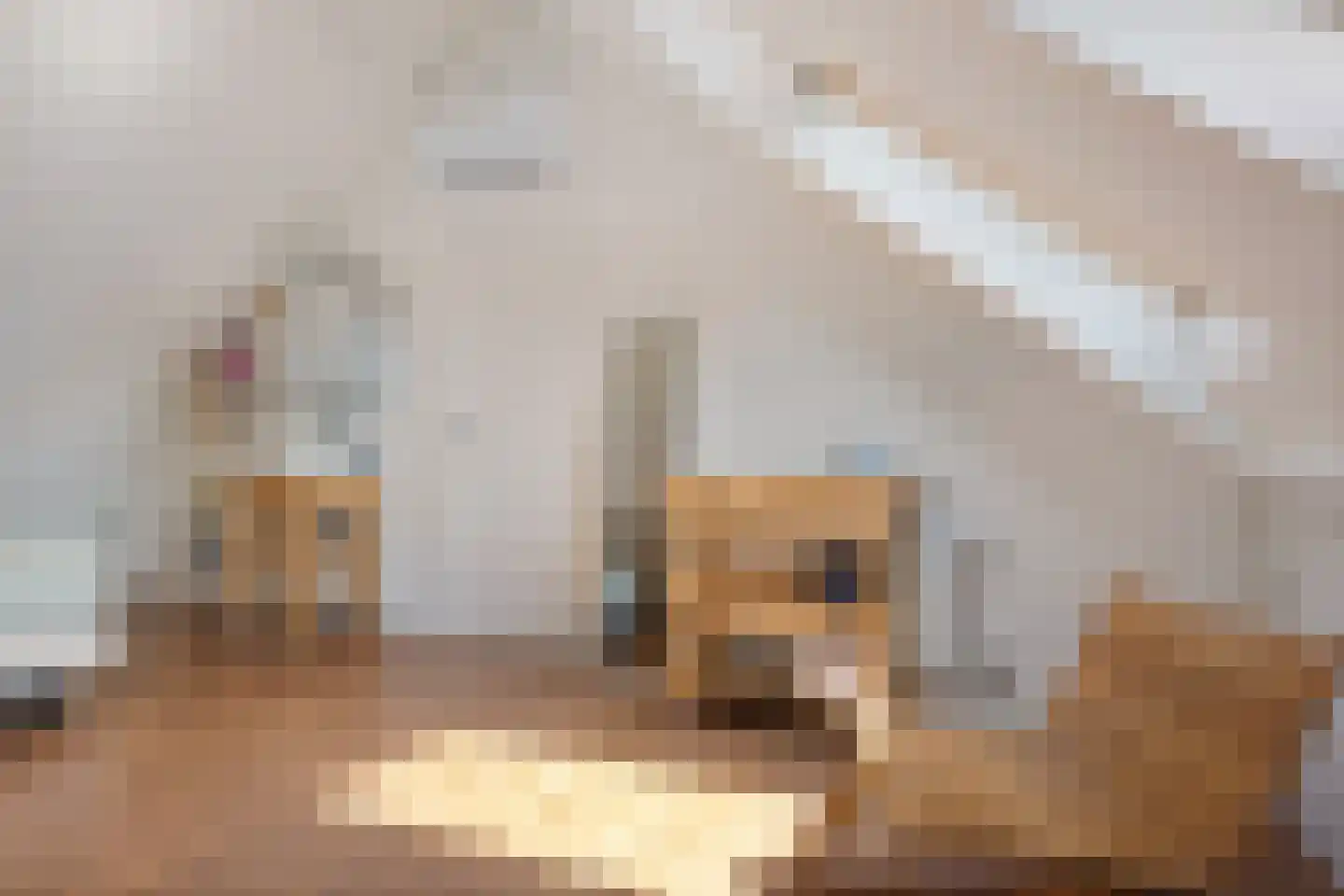 Meidoornlaan 29 Glimmen thumbnail 46