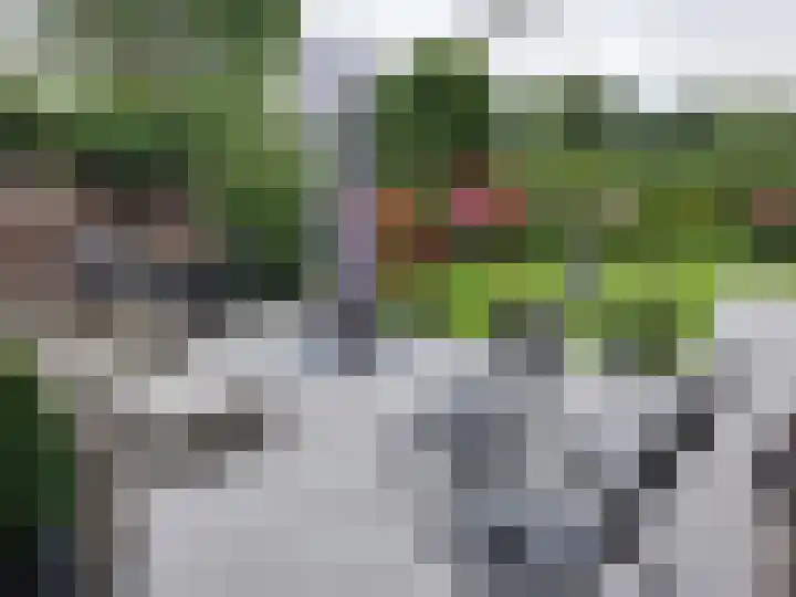 Meidoornlaan 29 Leidschendam thumbnail 23