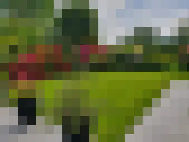 Meidoornlaan 29 Leidschendam thumbnail 24