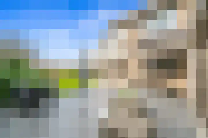 Meidoornlaan 29 Leidschendam thumbnail 25