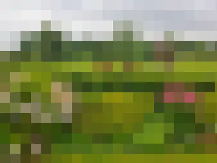 Meidoornlaan 29 Leidschendam thumbnail 4