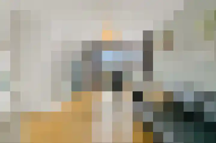 Meidoornlaan 29 Leidschendam thumbnail 57