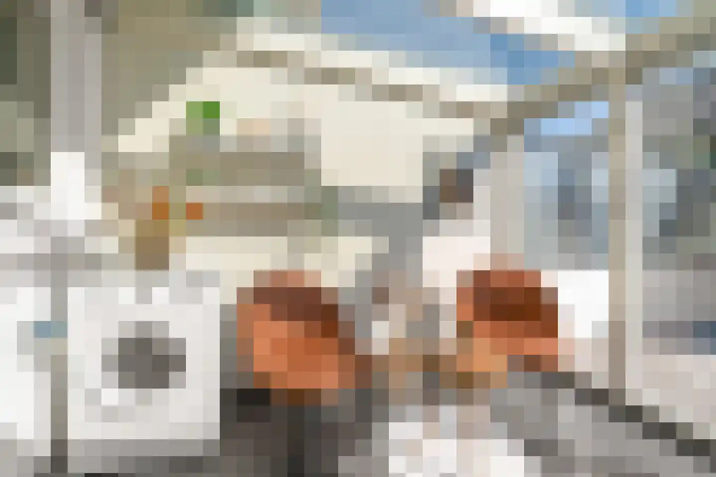 Meidoornlaan 3 Ameide thumbnail 13