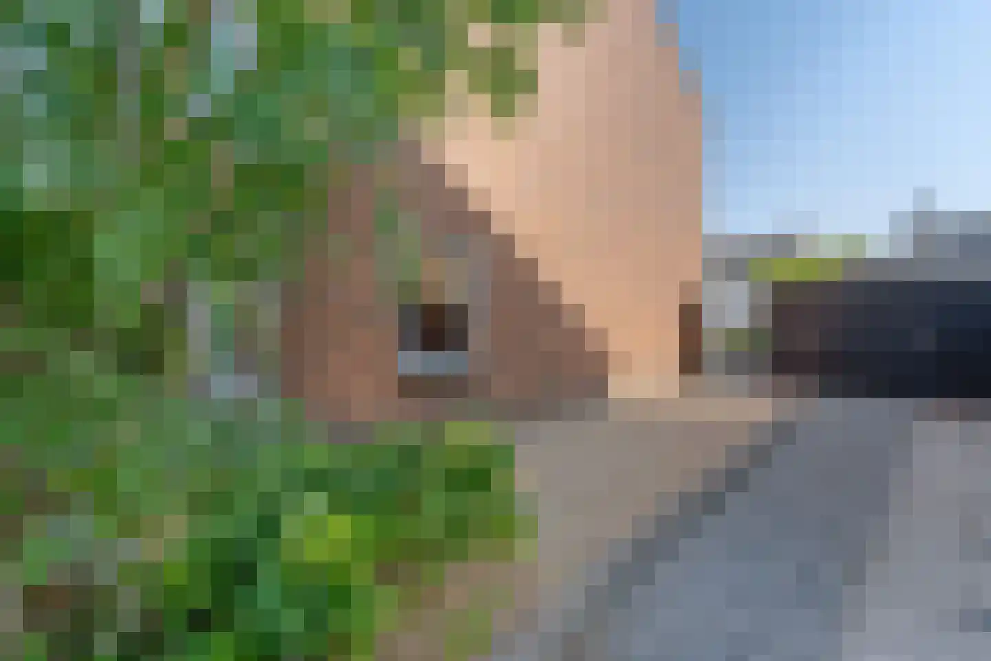 Meidoornlaan 3 Ameide thumbnail 29