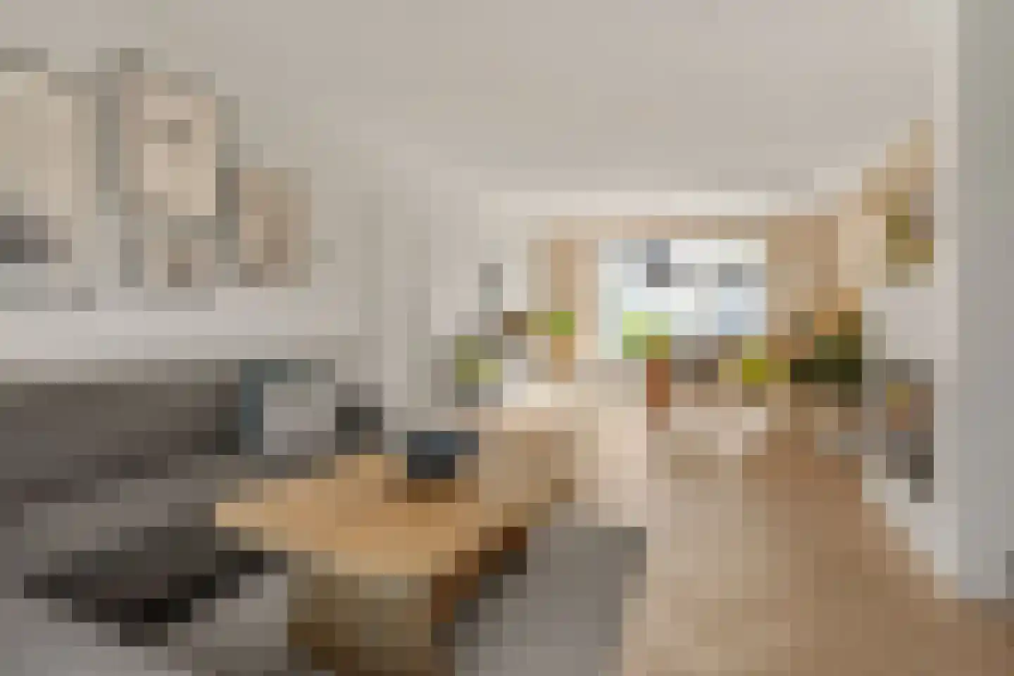 Meidoornlaan 3 Ameide thumbnail 4