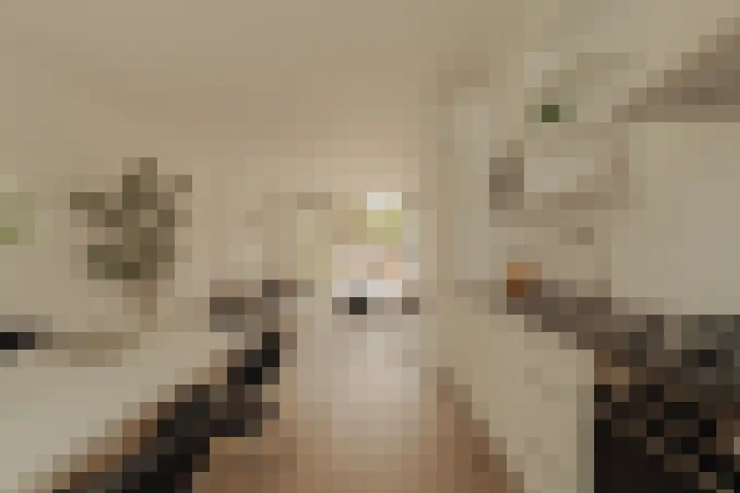 Meidoornlaan 30 Amstelveen thumbnail 12