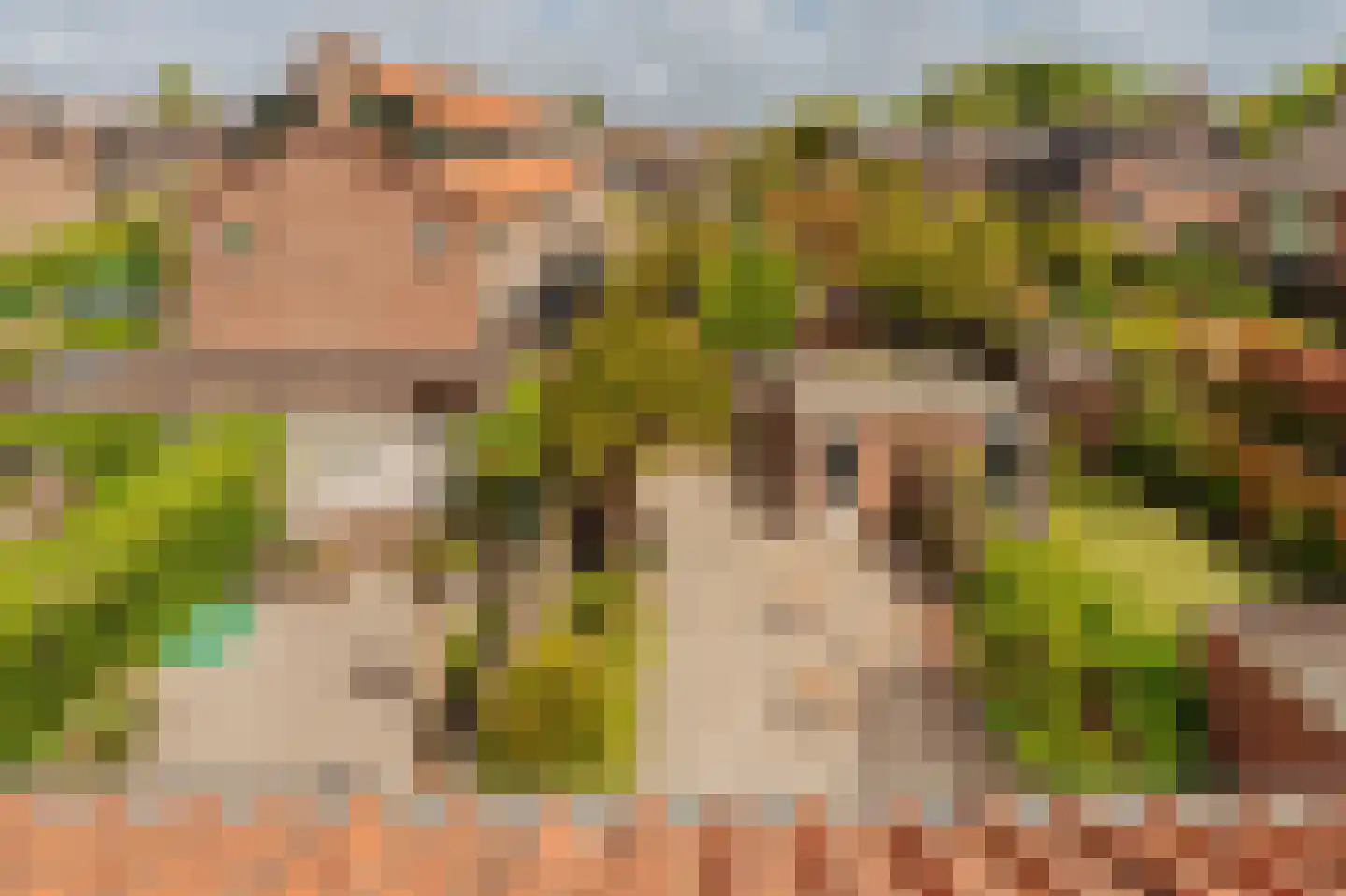 Meidoornlaan 30 Amstelveen thumbnail 38