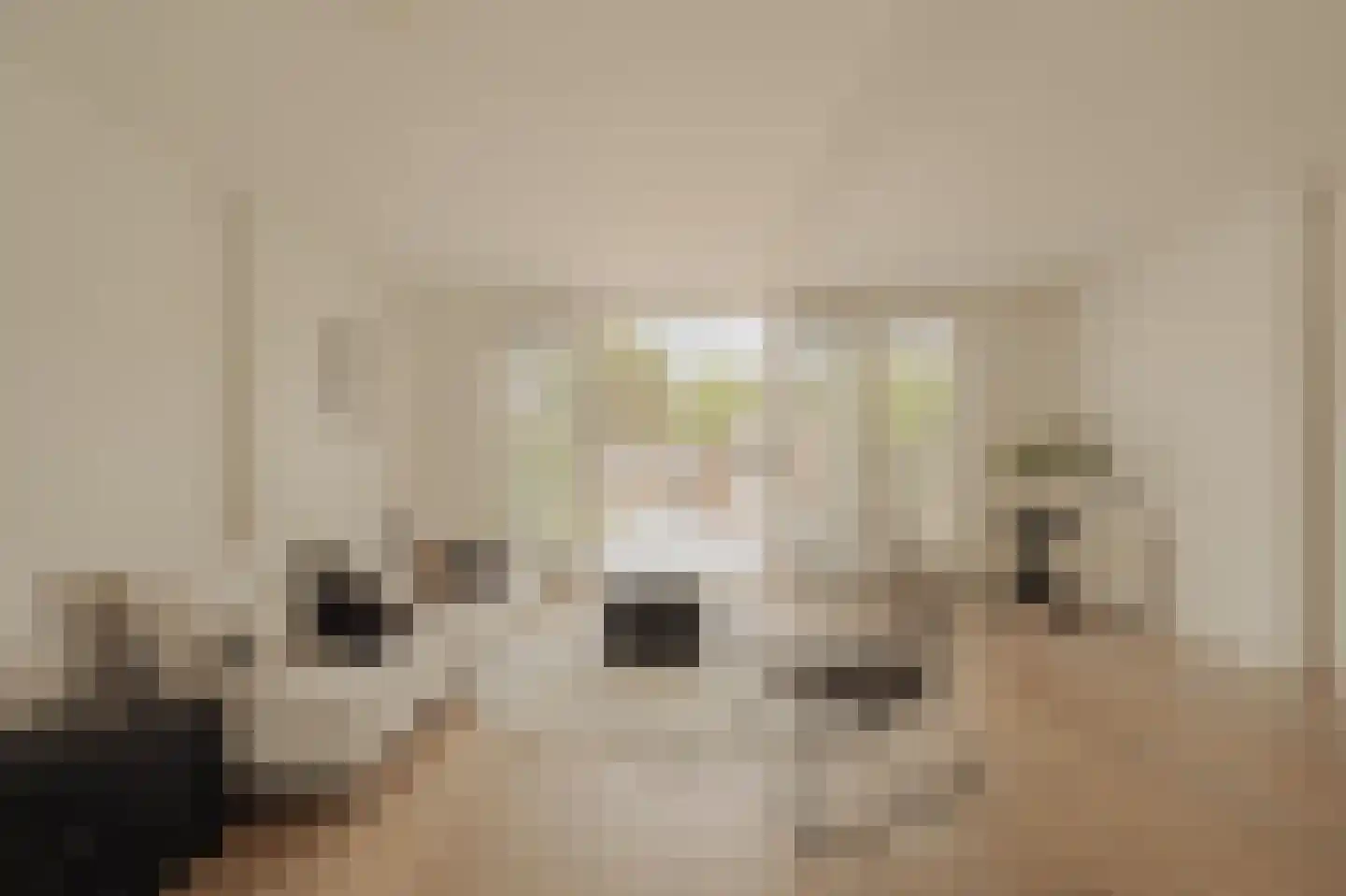 Meidoornlaan 30 Amstelveen thumbnail 8
