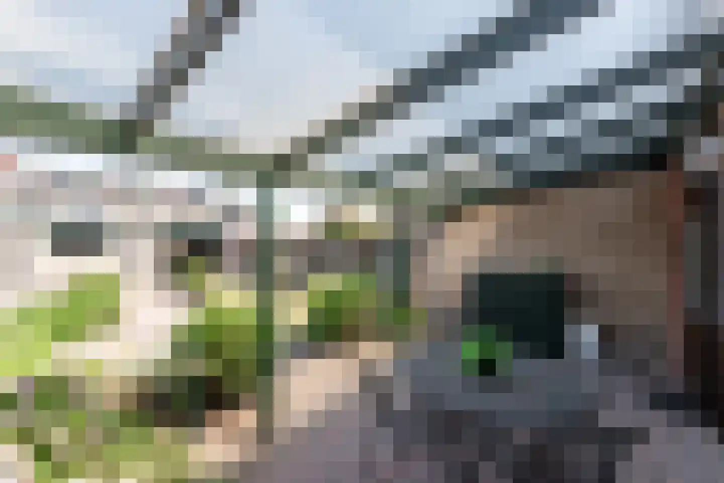 Meidoornlaan 30 Nijkerk thumbnail 33