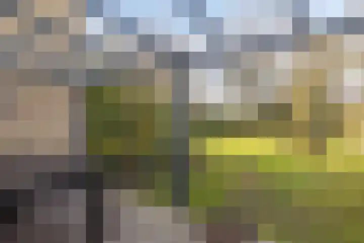 Meidoornlaan 31 Glimmen thumbnail 13