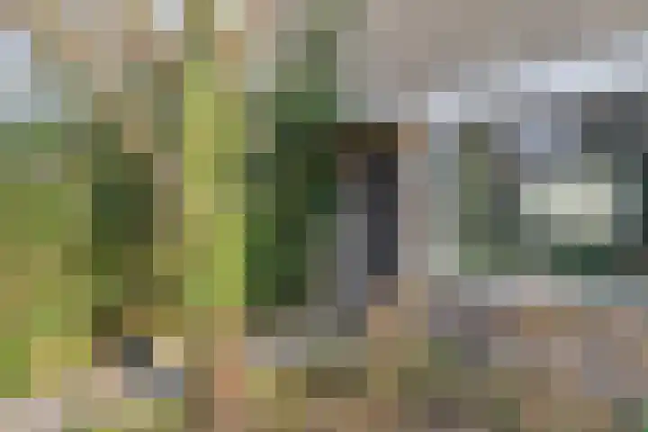 Meidoornlaan 31 Glimmen thumbnail 15