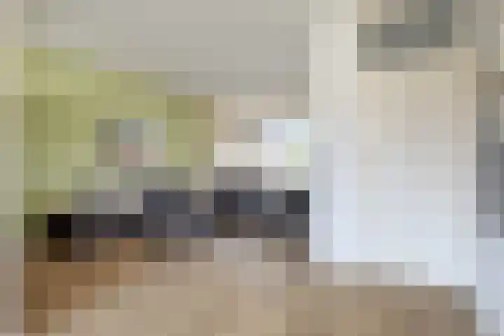 Meidoornlaan 31 Glimmen thumbnail 17