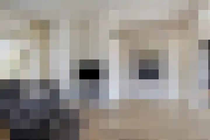 Meidoornlaan 31 Glimmen thumbnail 20