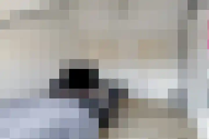 Meidoornlaan 31 Glimmen thumbnail 39