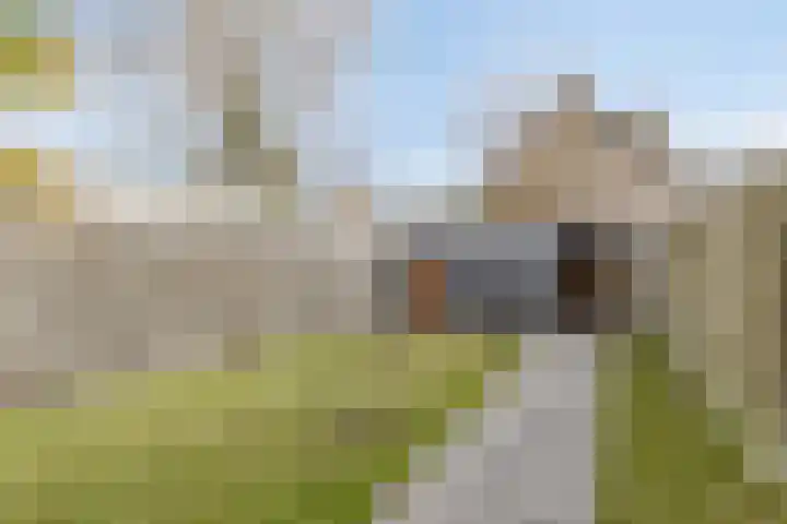 Meidoornlaan 31 Glimmen thumbnail 43