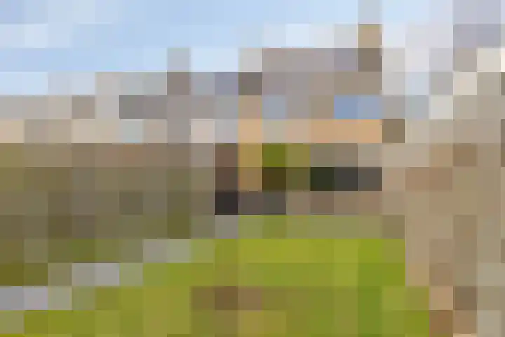 Meidoornlaan 31 Glimmen thumbnail 45