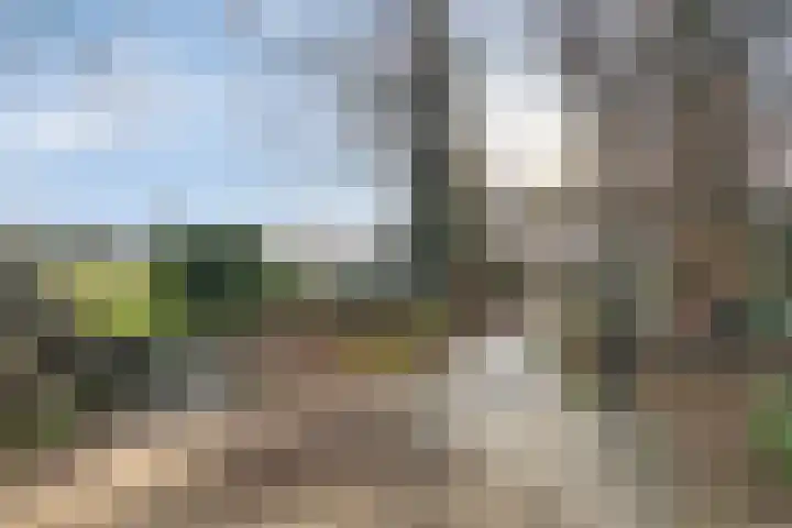 Meidoornlaan 31 Glimmen thumbnail 48