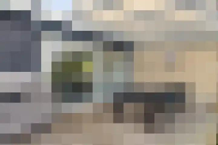 Meidoornlaan 31 Glimmen thumbnail 5