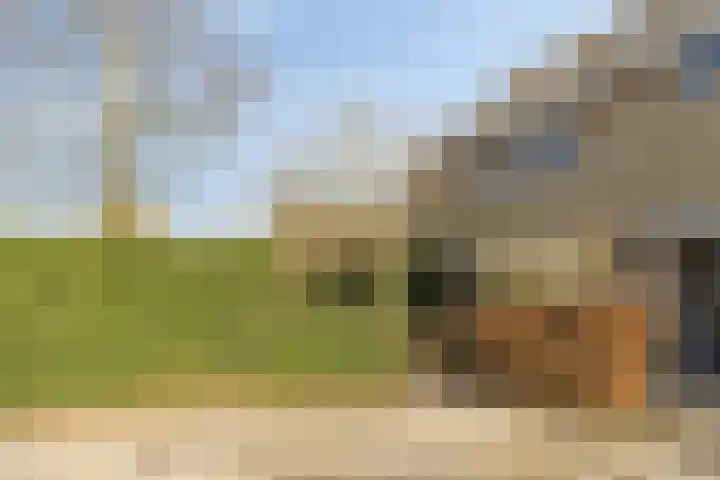 Meidoornlaan 31 Glimmen thumbnail 9