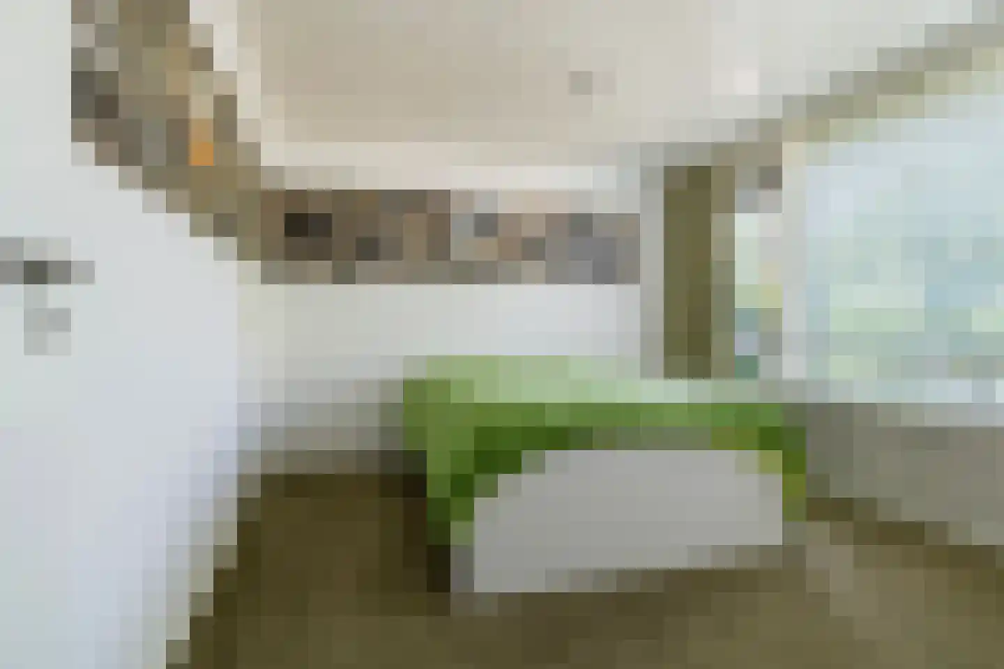 Meidoornlaan 31 Rotterdam thumbnail 11
