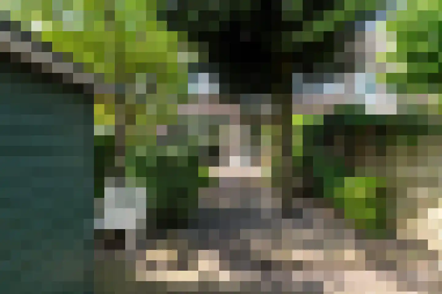 Meidoornlaan 31 Rotterdam thumbnail 20