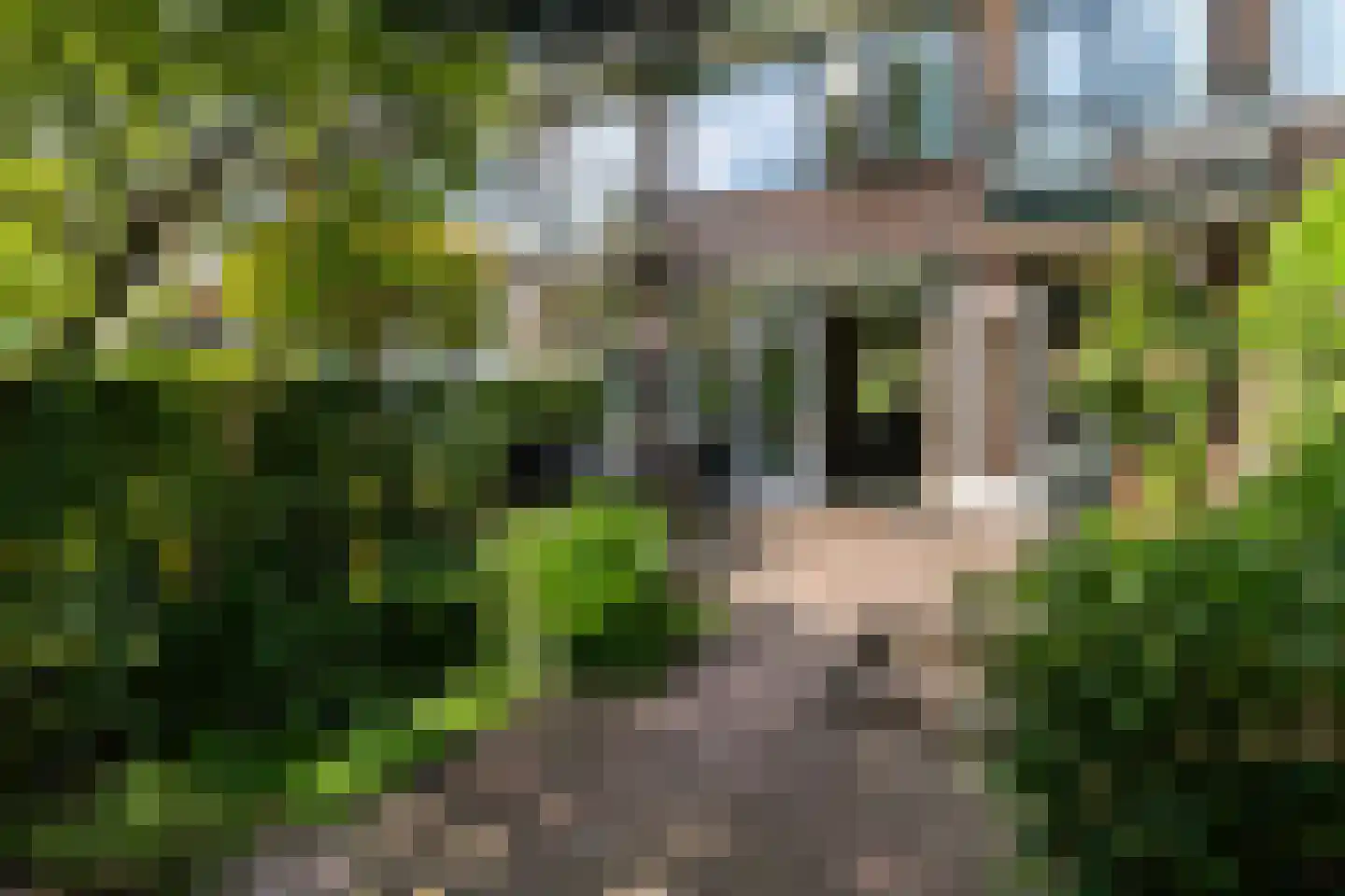 Meidoornlaan 31 Rotterdam thumbnail 21