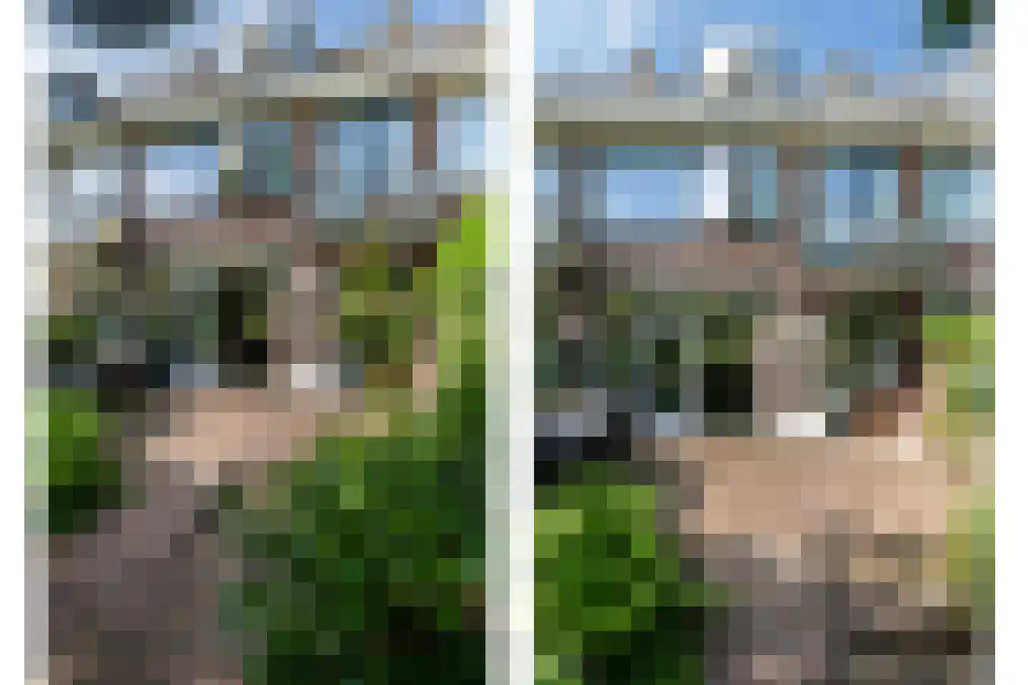 Meidoornlaan 31 Rotterdam thumbnail 22