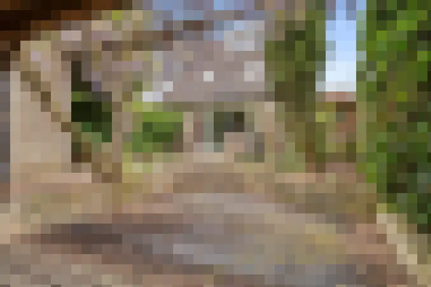 Meidoornlaan 33 Bennekom thumbnail 11