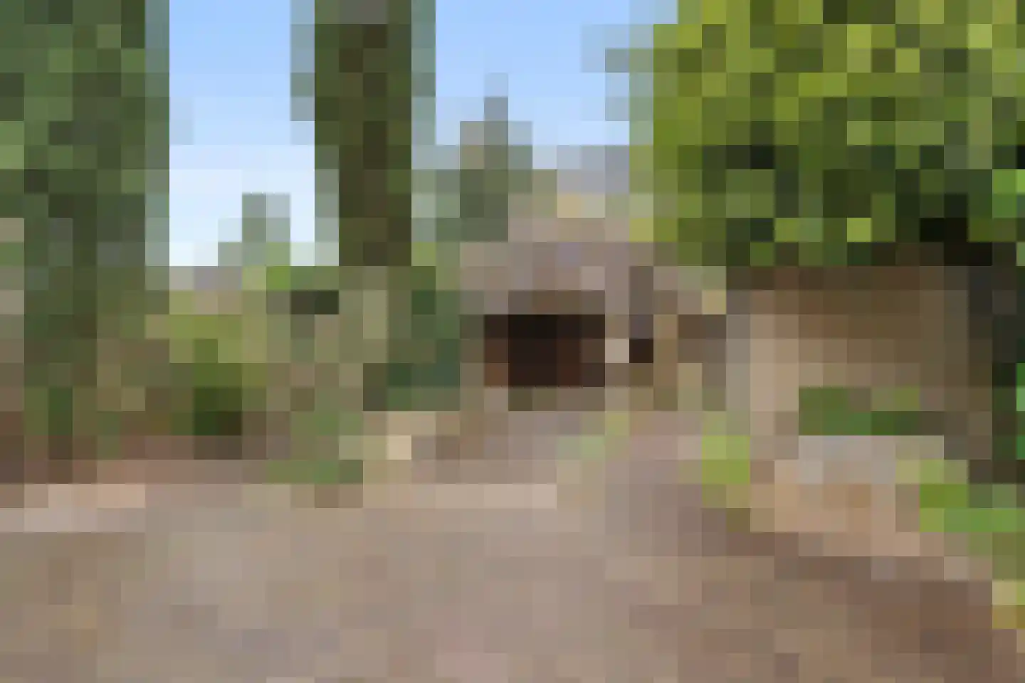 Meidoornlaan 33 Bennekom thumbnail 14