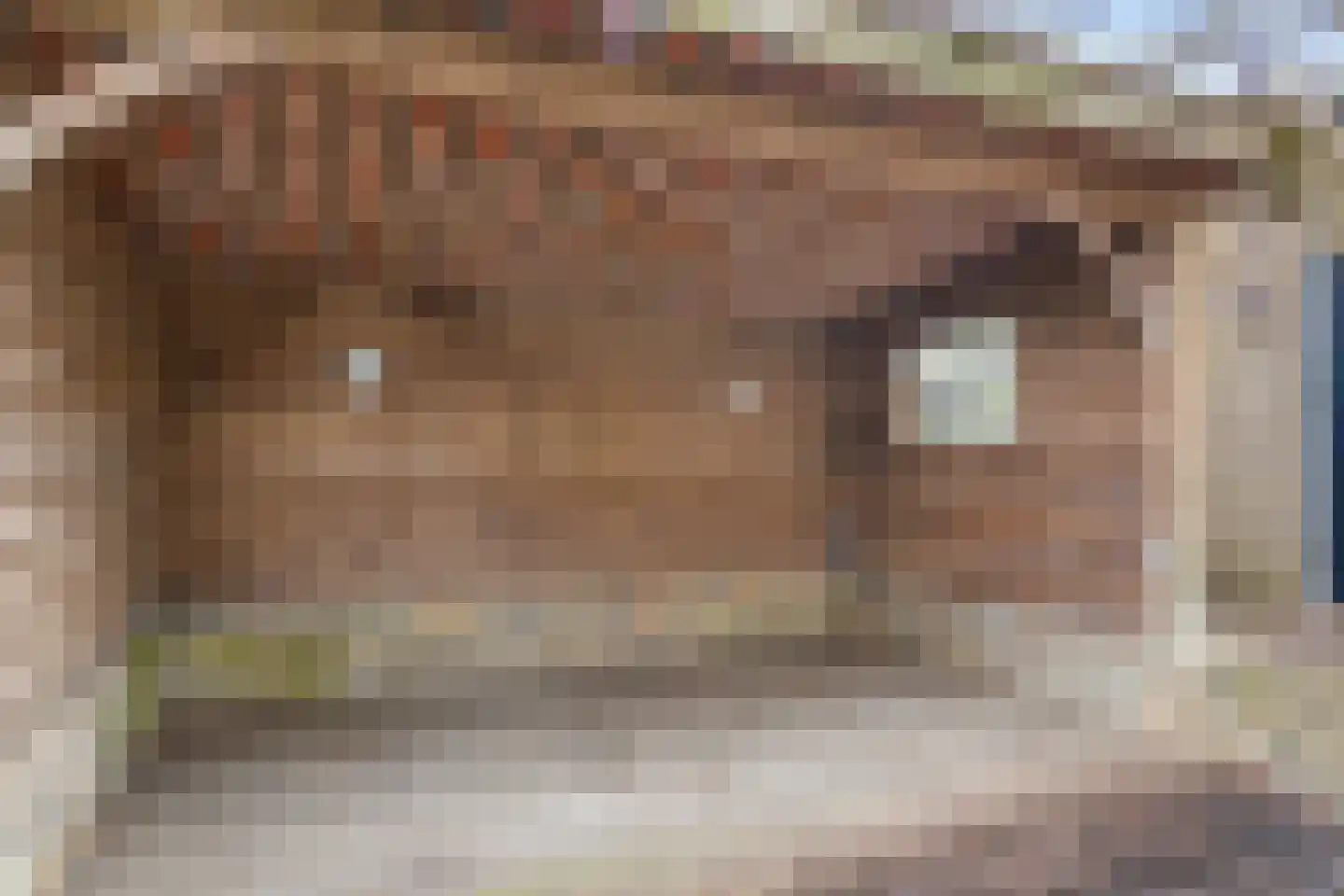 Meidoornlaan 33 Bennekom thumbnail 15