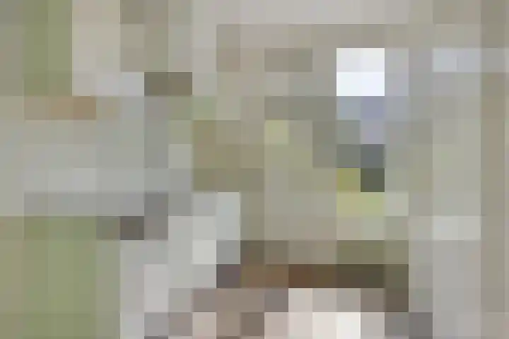 Meidoornlaan 33 Dordrecht thumbnail 10