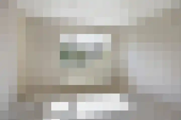Meidoornlaan 33 Dordrecht thumbnail 12