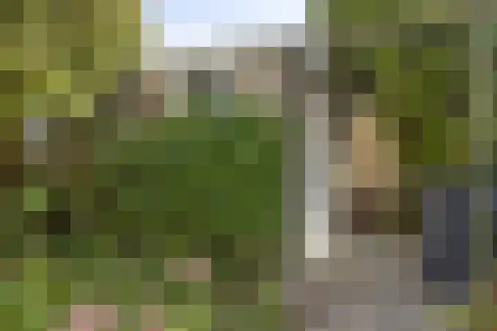 Meidoornlaan 33 Dordrecht thumbnail 24