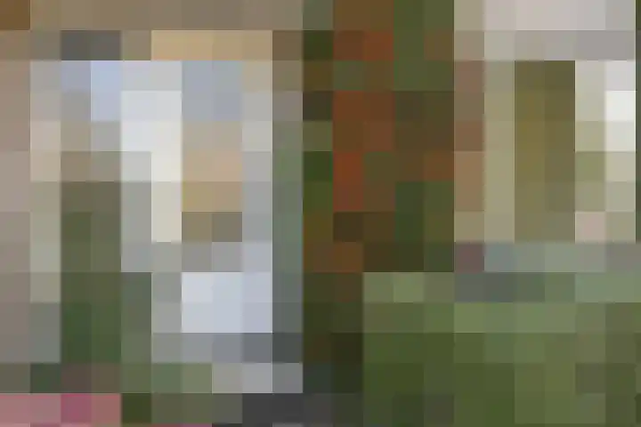 Meidoornlaan 33 Dordrecht thumbnail 4