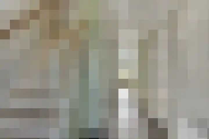Meidoornlaan 33 Dordrecht thumbnail 5