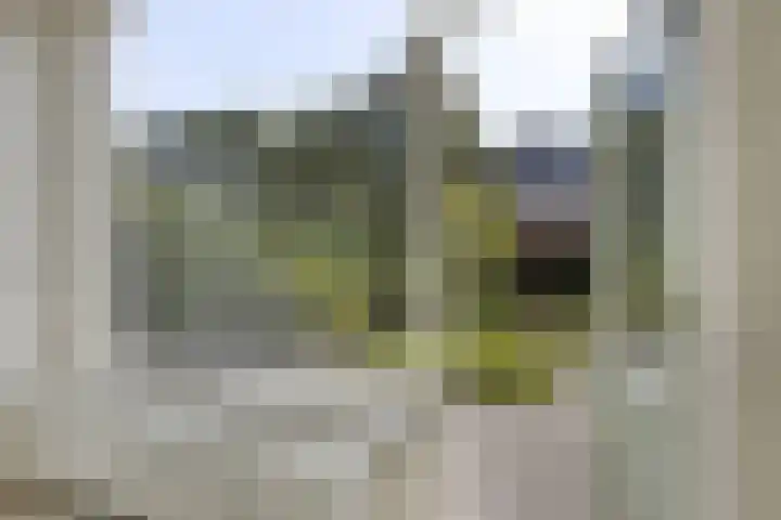 Meidoornlaan 33 Dordrecht thumbnail 9