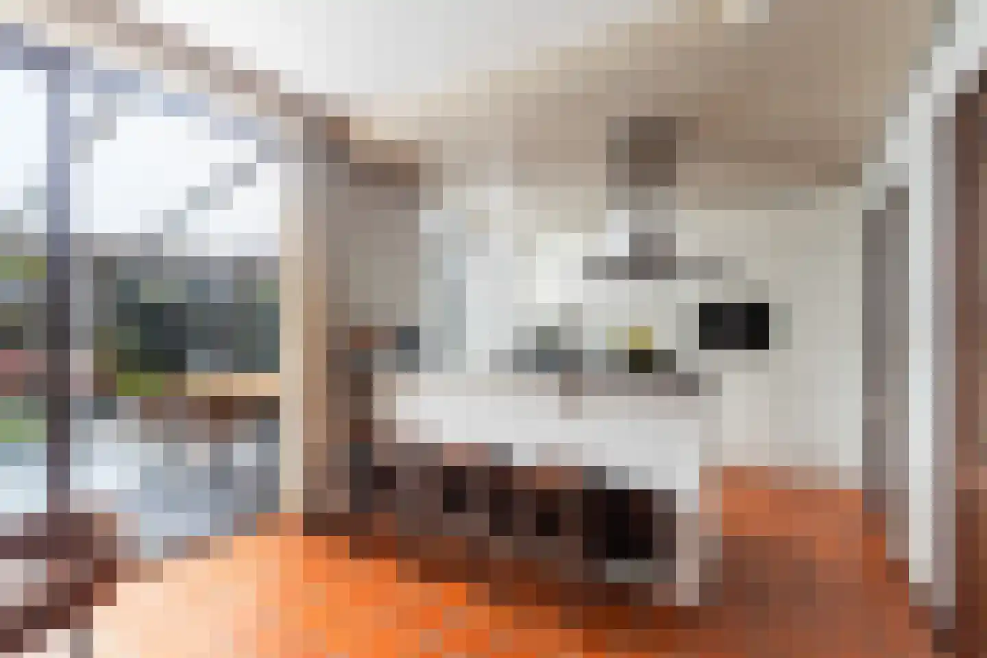 Meidoornlaan 34 Renswoude thumbnail 10