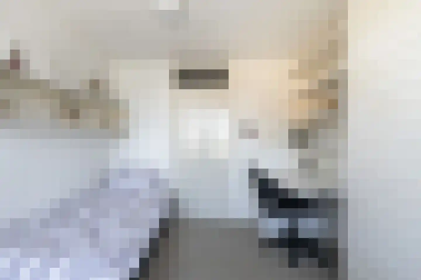 Meidoornlaan 34 Renswoude thumbnail 32